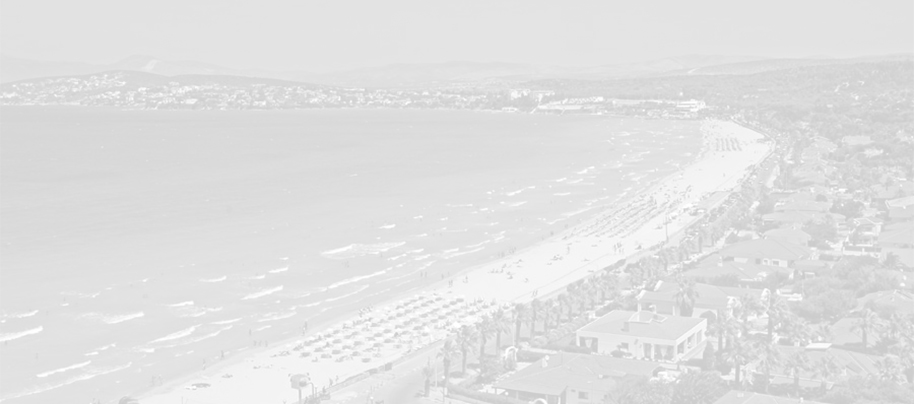 Çeşme İlçe Başkanı